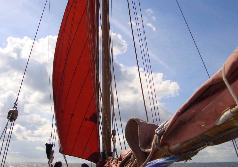 ZWAR-ler/innen segeln hart am Wind…