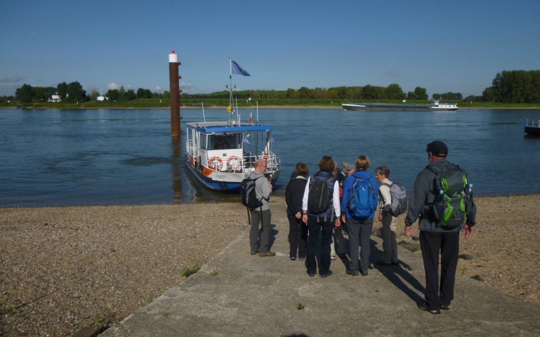 Wanderung Rheinauf – Rheinab vom 10.09.2017