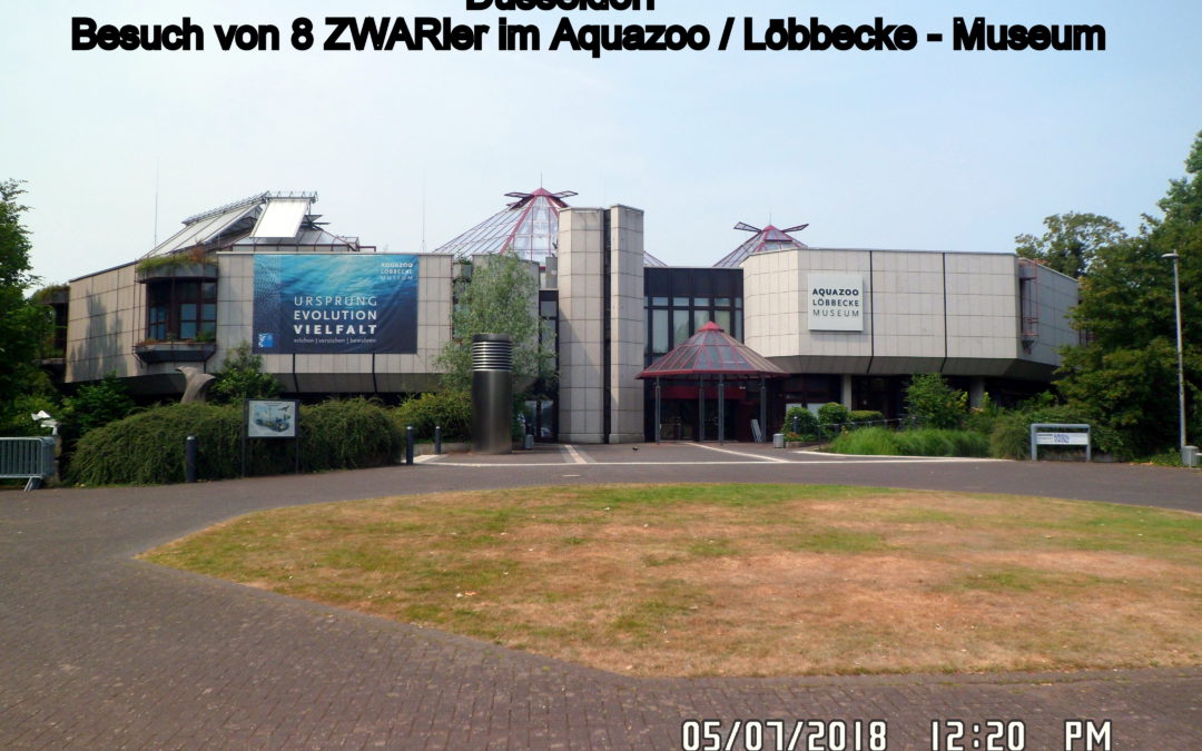 Aquazoo in Düsseldorf am 05.07.2018