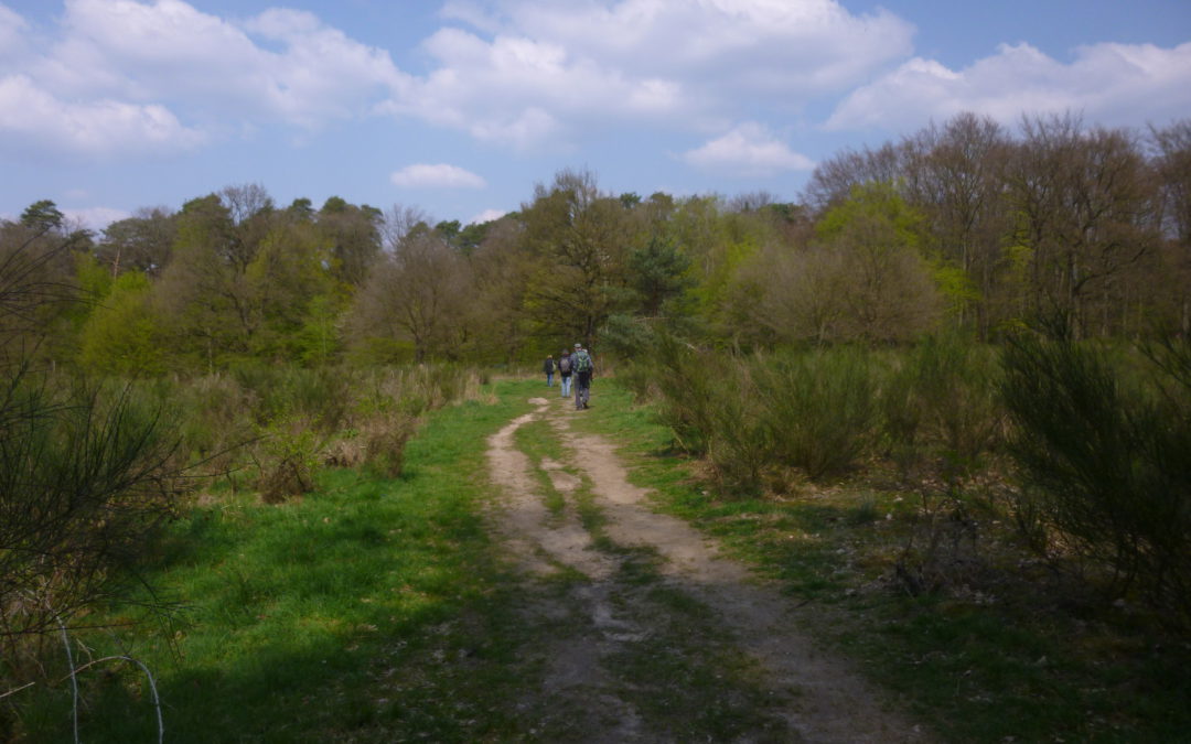 Wanderung vom 14.04.2019: Wahner Heide