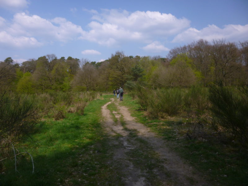 Wanderung vom 14.04.2019: Wahner Heide