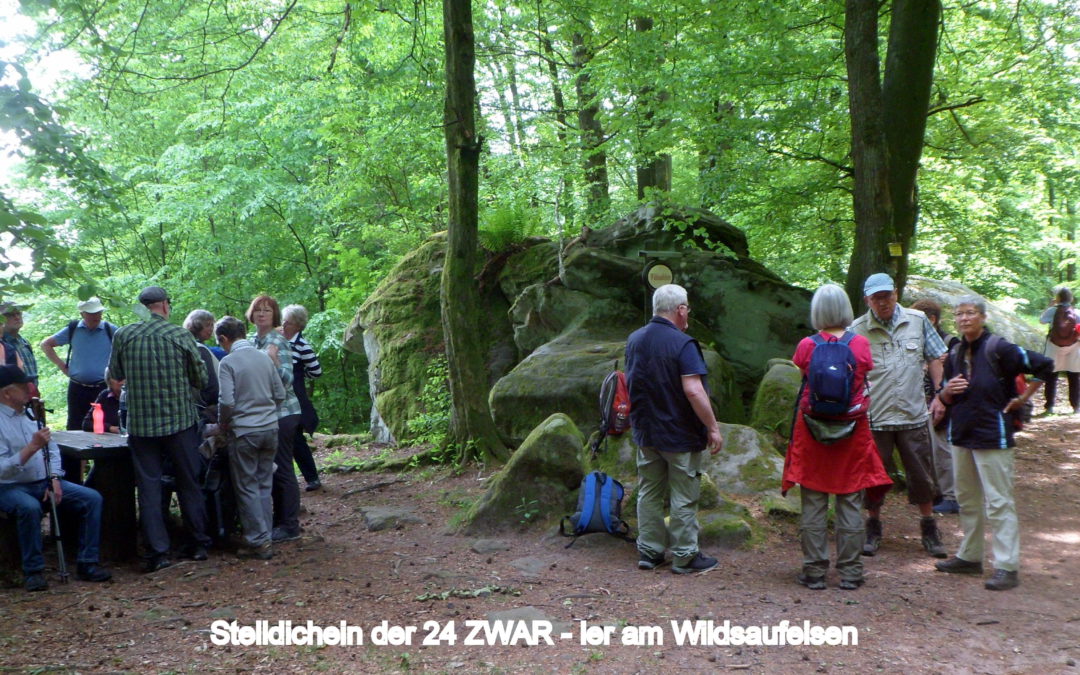 Wanderwochenende in der Pfalz (17.05.-19.05.2019)