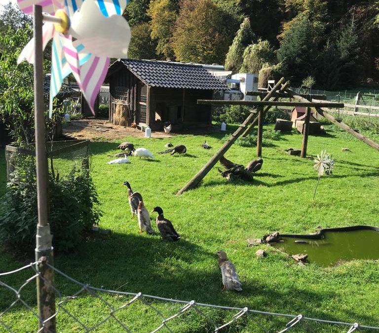 Geschützt: Der Bauernhof-Rundweg 18 in Lohmar