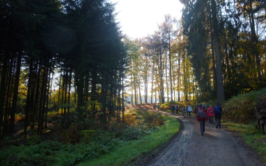 Geschützt: Wanderung vom 10.11.2019: Sengbachtalsperre ab Witzhelden