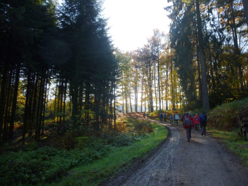Geschützt: Wanderung vom 10.11.2019: Sengbachtalsperre ab Witzhelden